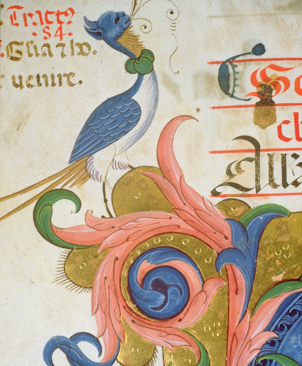 Missal 515 f.28v طائر خيالي برأس إنسان يقف على زاوية بداية تاريخية ، تفاصيل من كتاب جوقة تم تنفيذه قبل 1449 تفاصيل رقمية 56724 بواسطة Filippo di Matteo Torelli
