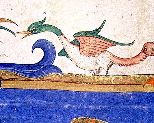 Missal 515 f.72v طائر خيالي بذيل قرد ، تفاصيل من كتاب جوقة تم تنفيذه قبل عام 1449 (تفاصيل 56719) بواسطة Filippo di Matteo Torelli