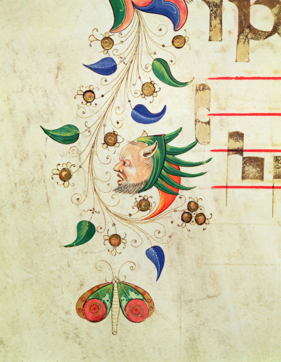 Missal 515 f.72v حدود أوراق زومورفيك ، تفاصيل من كتاب جوقة تم تنفيذها قبل 1449 رق بواسطة Filippo di Matteo Torelli