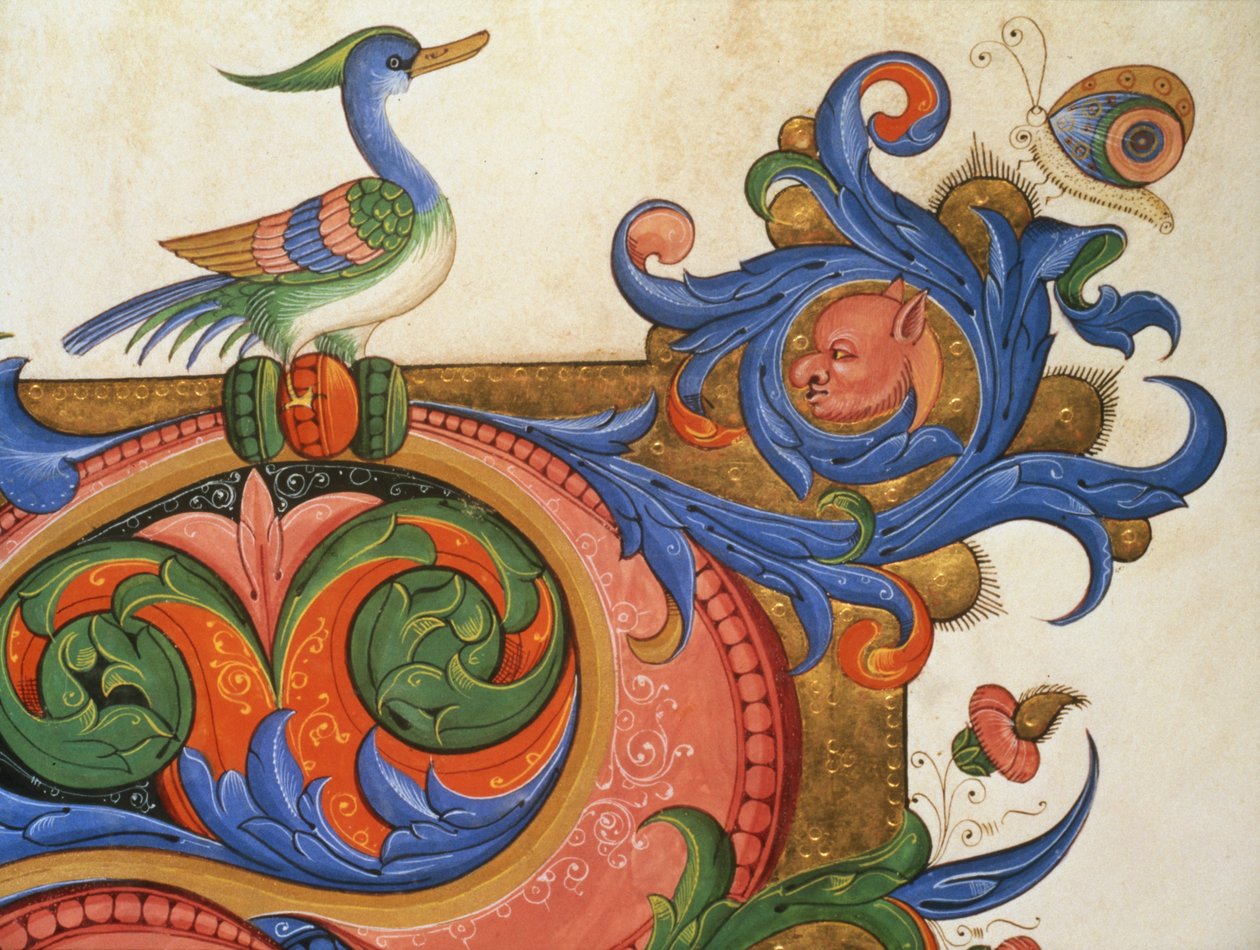 Missal 515 f.92v أوراق الشجر ذات الزومورفيك مع الطيور والفراشات الشبيهة بالبط ، تفاصيل الزخرفة المحيطة بالأحرف الأولى المؤرخة من كتاب جوقة تم تنفيذها قبل 1449 الرق بواسطة Filippo di Matteo Torelli