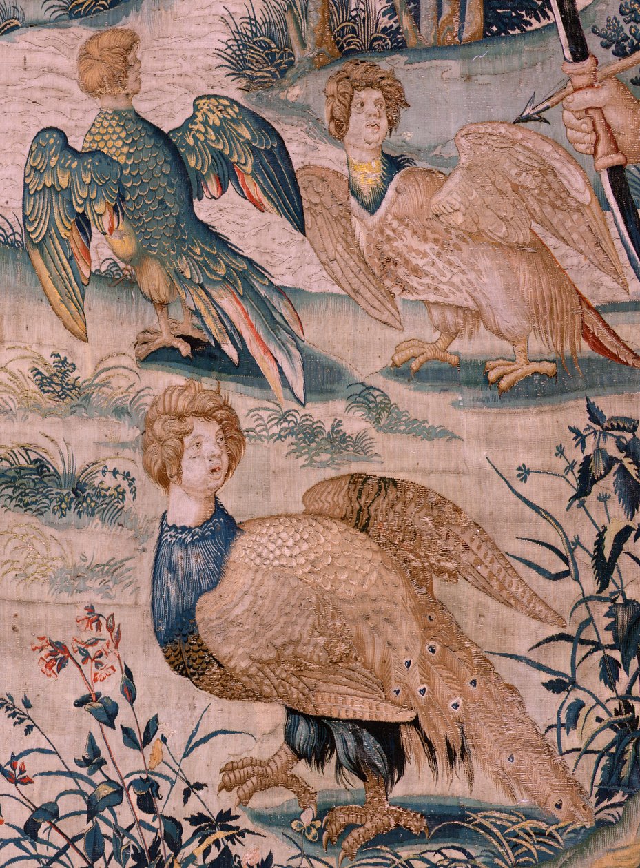 نسيج فلمنكي. سلسلة أعمال هرقل. هرقل والطيور Stymphalian (Hércules y las aves del lago Estínfalo). النسيج الأول في السلسلة الموجودة. نموذج غير معروف. مصنع ويليم ديرموين ، بروكسل. كاليفورنيا 1528. نسيج حرير وصوف. ؛ الحجم 3 بواسطة المدرسة الفلمنكية