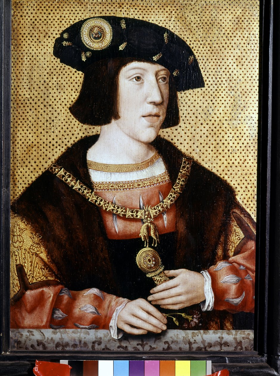 صورة لتشارلز الخامس (1500 - 1558) ، إمبراطور ألمانيا. المدرسة الفلمنكية في القرن السادس عشر (زيت على قماش) بواسطة المدرسة الفلمنكية