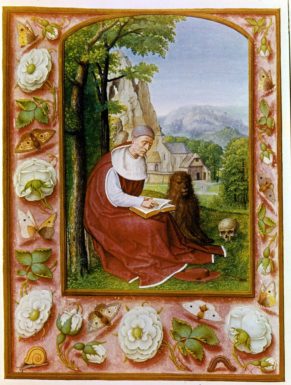 صورة القديس جيروم. كتاب Breviary Grimani من 1490 - 1510 من Biblioteca Marciana ، البندقية. بواسطة المدرسة الفلمنكية