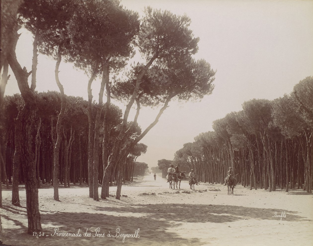 بروميناد دس بين في بيروت ، كاليفورنيا. 1870. بواسطة فيليكس بونفيس