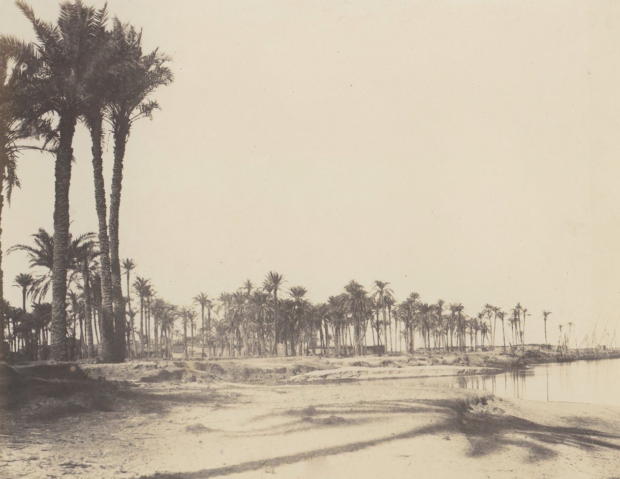 الناصرة ، Dattiers ، Rives du Nil et Barques ، 1851-52 ، طبعت 1853-54. بواسطة فيليكس تينارد
