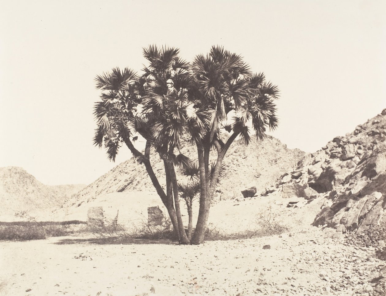 محيط ملف ، بالمير دوم على الضفة الشرقية للنيل ، 1851-52 ، طبعت 1853-54. بواسطة فيليكس تينارد