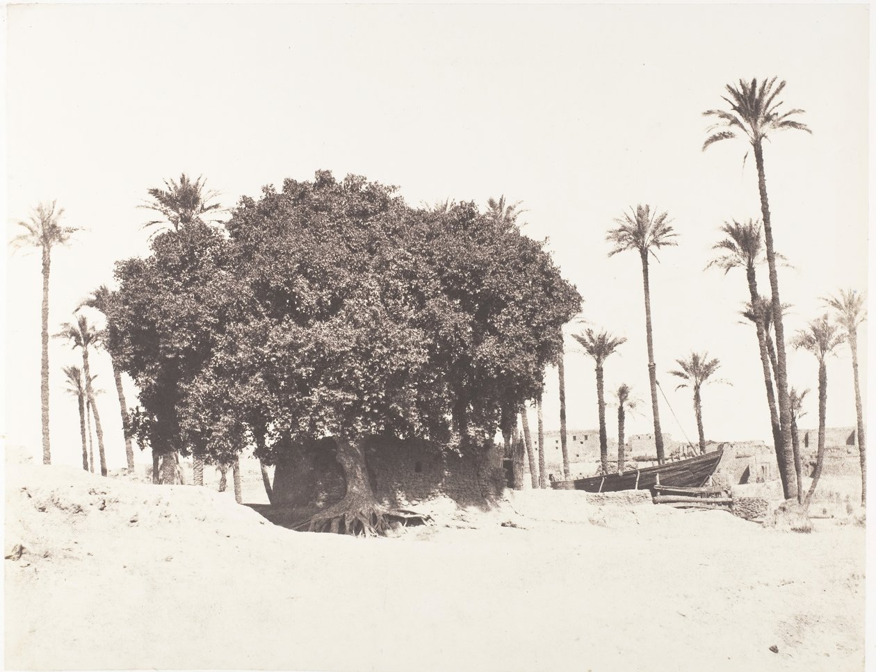 إسنا ، نخيل التمر ، الجميز والقهوة على حافة النيل ، 1851-52 ، طبعت 1853-54. بواسطة فيليكس تينارد
