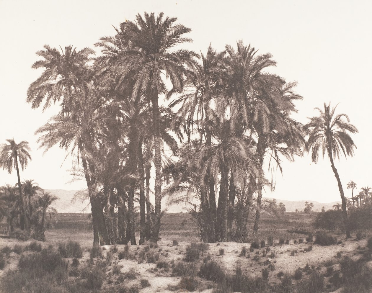 الكرنك ، مجموعة نخيل التمر من النقطة أ ، 1851-52 ، طبعت 1853-54. بواسطة فيليكس تينارد