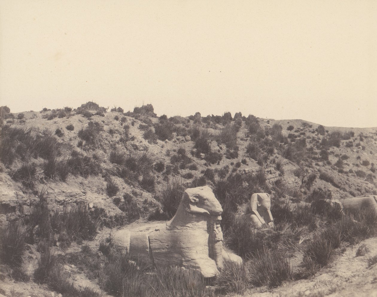 كرنك طيبة ، أبو الهول برأس بشري ورأس كبش ، في Y ، 1851-52 ، طبعت 1853-54. بواسطة فيليكس تينارد