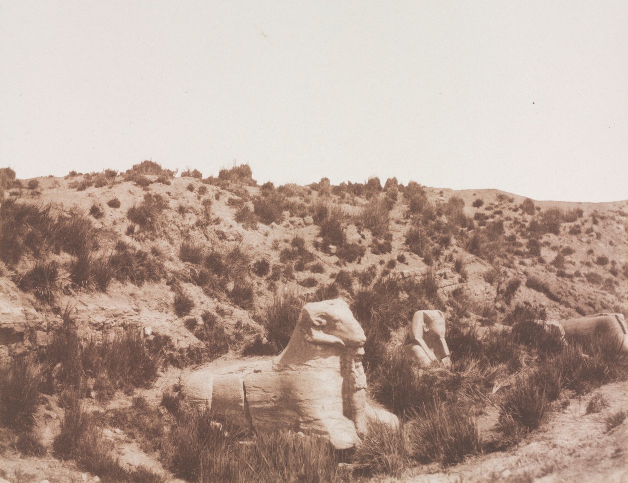 تمثال لأبي الهول برأس بشري ورأس كبش عند النقطة Y. الكرنك طيبة ، 1851-1852. بواسطة فيليكس تينارد