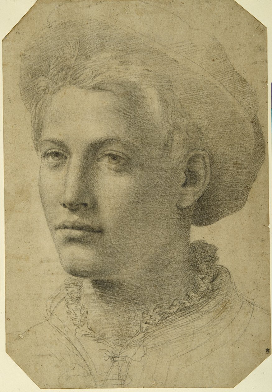 Portrait head of a youth wearing a cap, c.1530-40 (black chalk on white paper) بواسطة مدرسة فلورنسا
