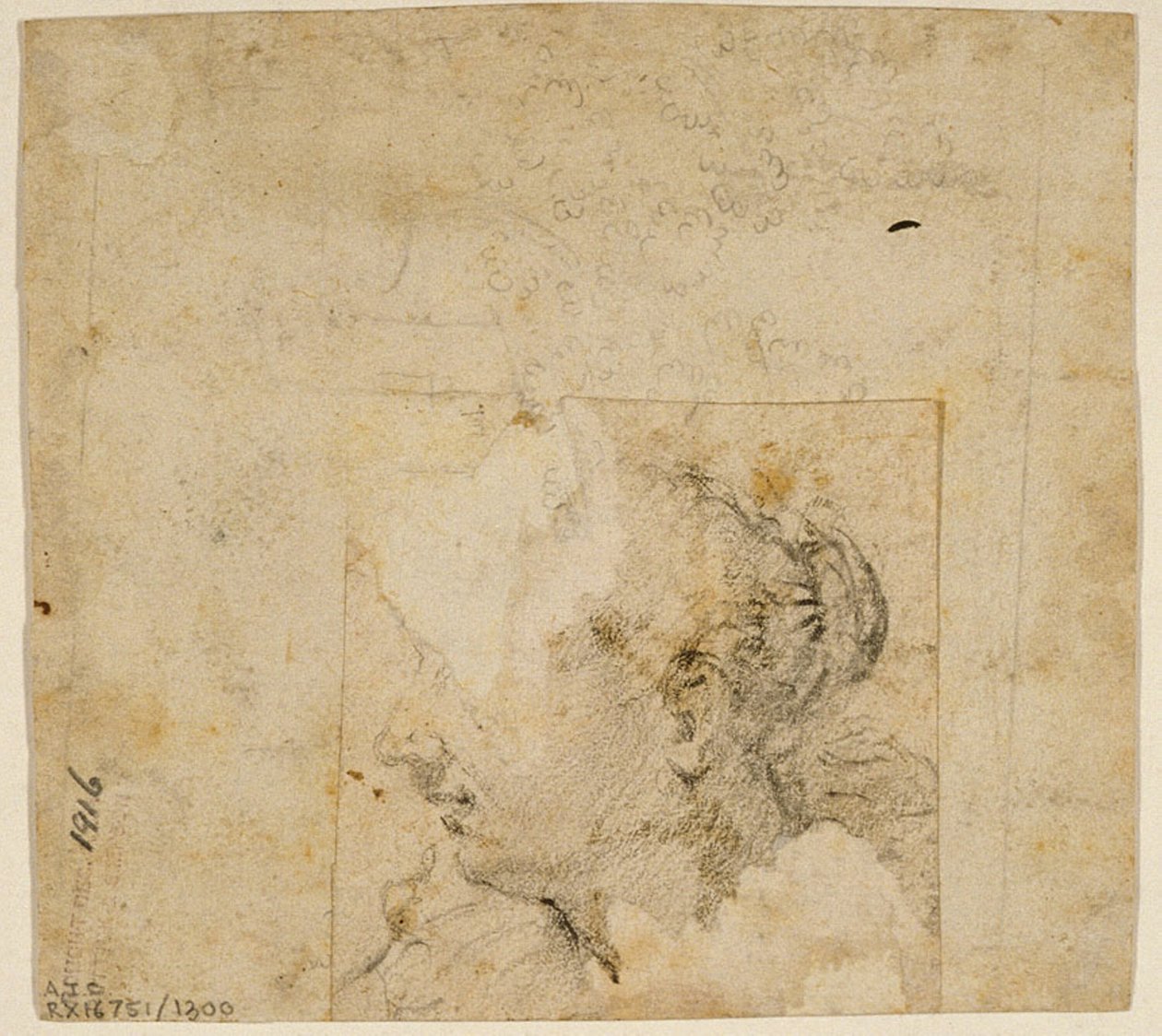 رأس أنثى في صورة جانبية إلى اليسار ؛ رسم تخطيطي للأشجار والبناء بواسطة أتباع جاكوبو باسانو
