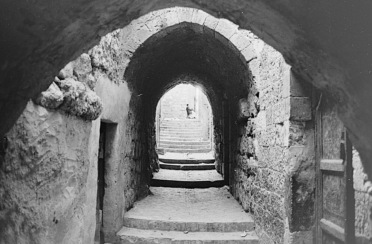  بواسطة فوسكو ماريني