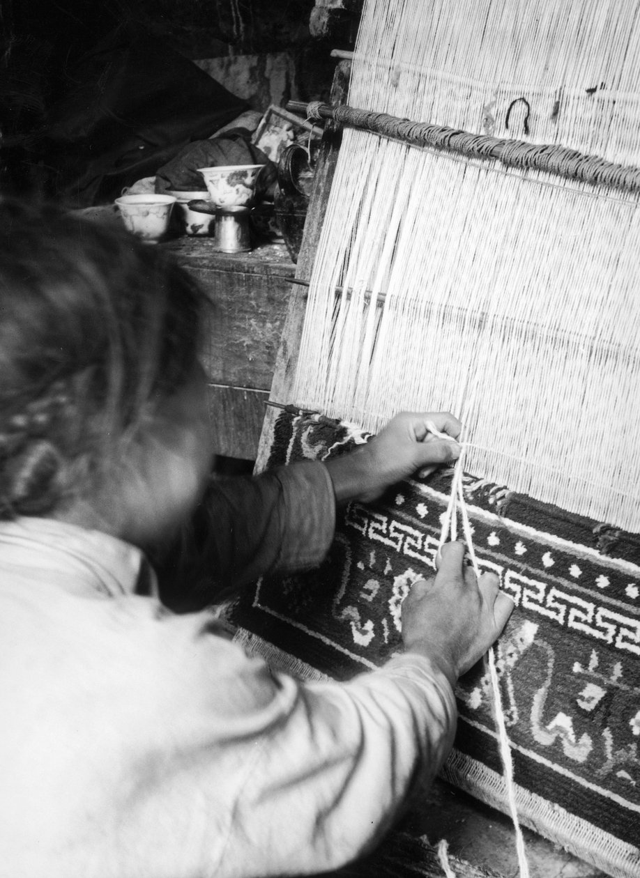  بواسطة فوسكو ماريني