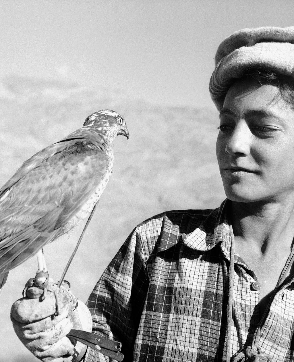  بواسطة فوسكو ماريني