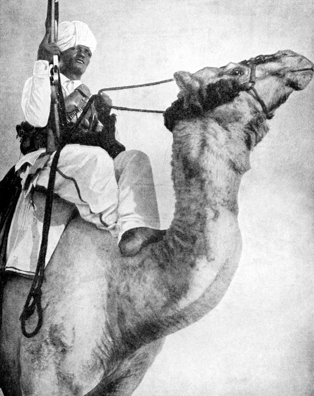 محارب الصحراء في أفريقيا ، 1936. بواسطة صور فوكس