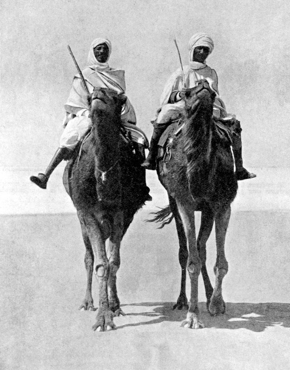 عربان يركبان الجمال في الصحراء ، إفريقيا ، 1936. بواسطة صور فوكس