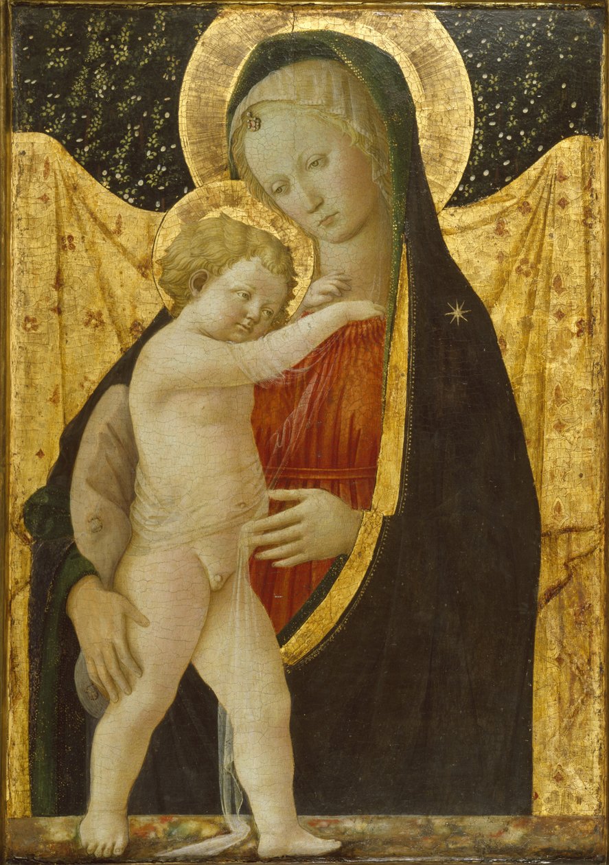 مادونا والطفل ، c.1446-47 (درجة الحرارة والذهب على اللوحة) بواسطة فرا فيليبو ليبي