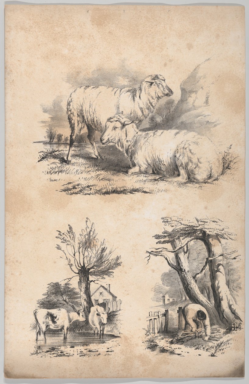 نقش صغير مع شاتين ، نقوش صغيرة مع بقرتين في حوض سباحة ، ومقالة صغيرة لجامع حطب ... ، 1847. بواسطة فرانسيس فلورا بوند بالمر