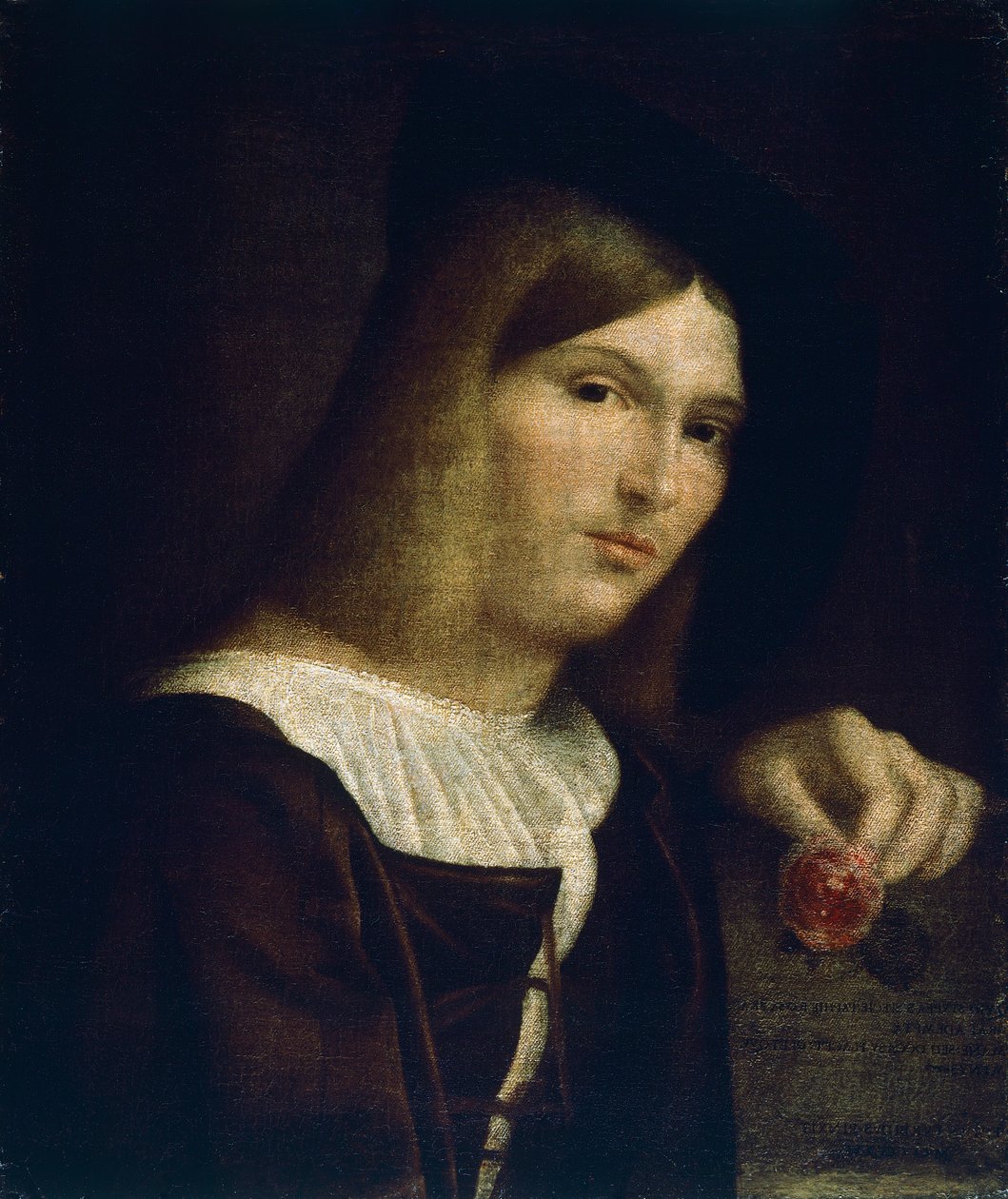 Portrait of a Young Man with a Rose بواسطة فرانشيسكو توربيدو