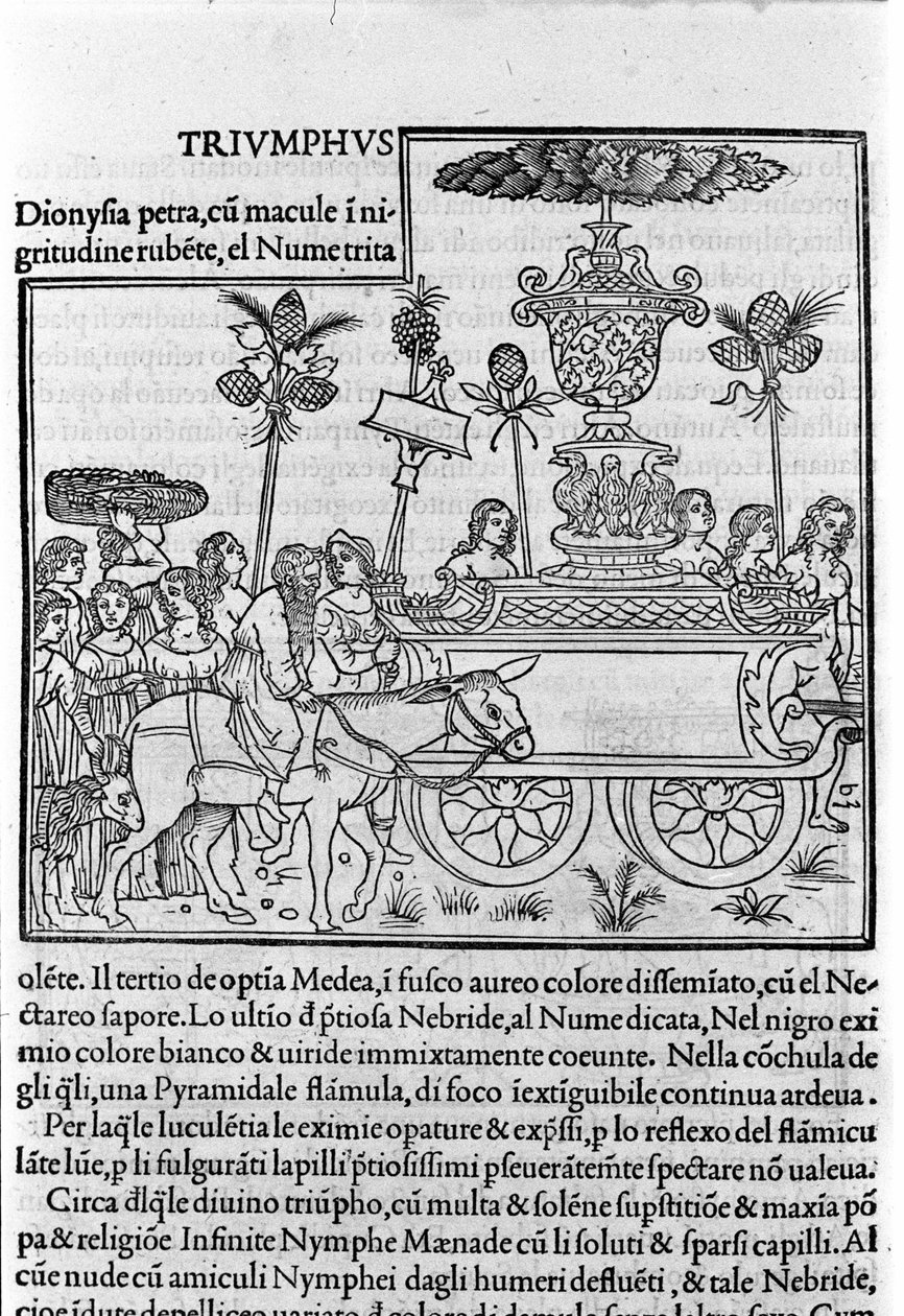 نقش في "Hypnerotomachia Polyphili" (حلم Poliphila) للراهب الدومينيكي فرانشيسكو كولونا ، البندقية بواسطة فرانشيسكو كولونا