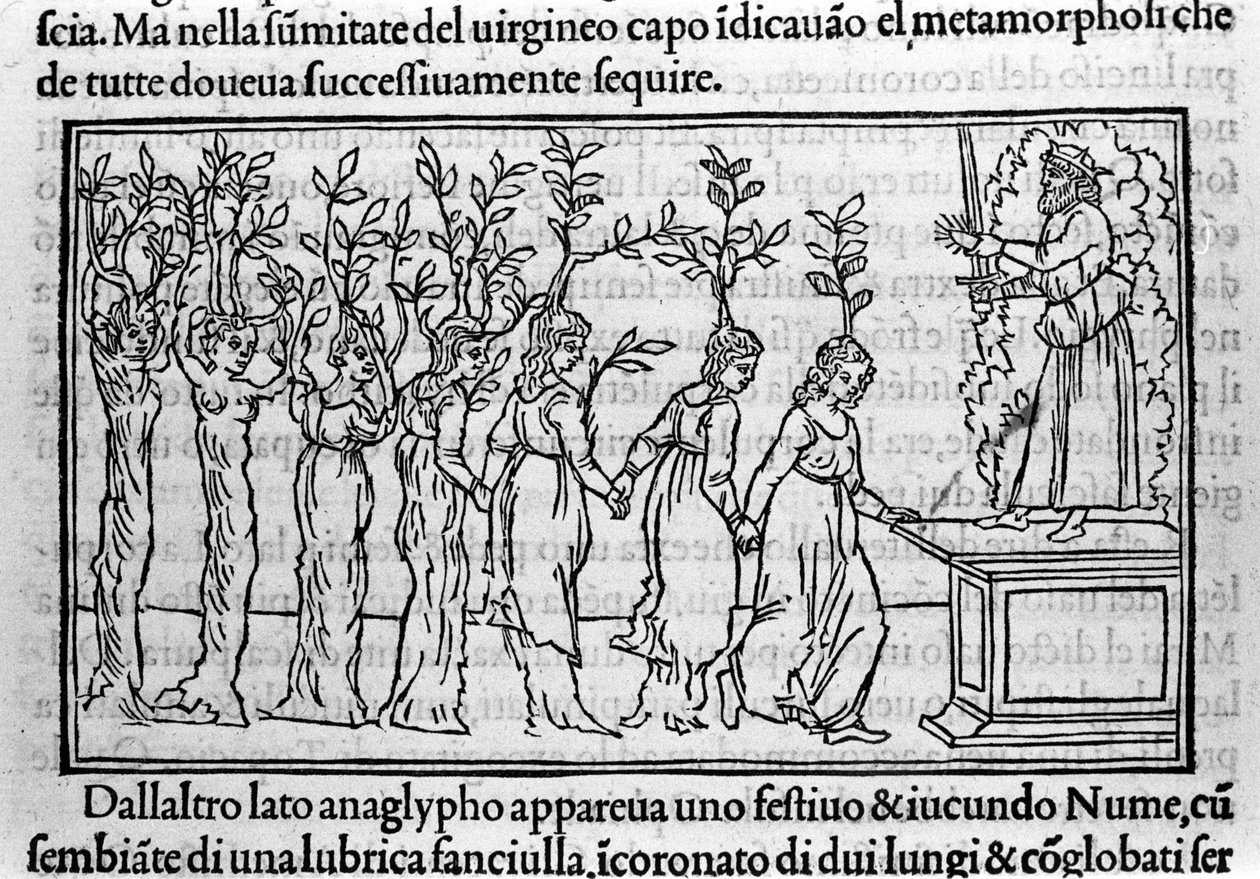 نقش في "Hypnerotomachia Polyphili" (حلم Poliphila) للراهب الدومينيكي فرانشيسكو كولونا ، البندقية بواسطة فرانشيسكو كولونا