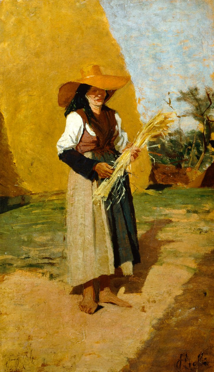 دراسة لجلينر (عاملة ميدانية) بقلم فرانشيسكو جيولي (1846-1922) ، زيت على لوح ، 32 × 19 سم بواسطة فرانشيسكو جيولي