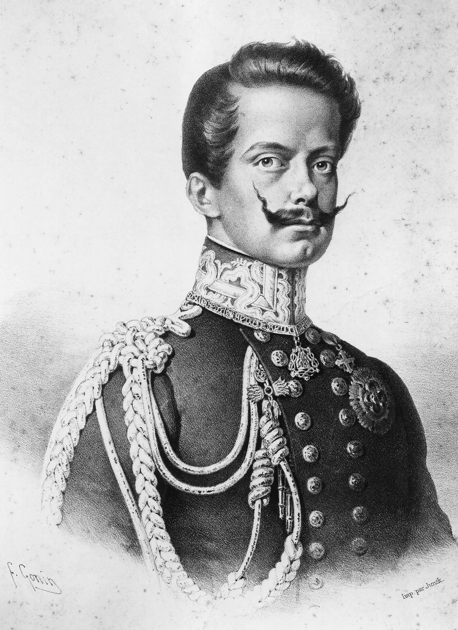 صورة فيتوريو إيمانويل الثاني (1820-1878) ، أول ملك لإيطاليا ، الطباعة الحجرية لفرانشيسكو غونين (1808-1889) بواسطة فرانشيسكو جونين