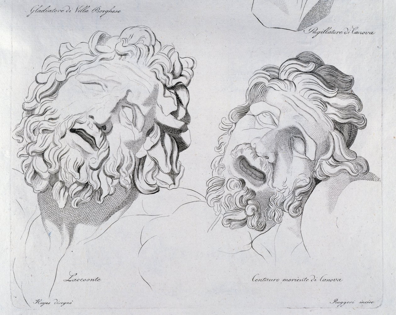 Heads of Laocoon and Centaur moriente by Canova بواسطة فرانشيسكو هايز