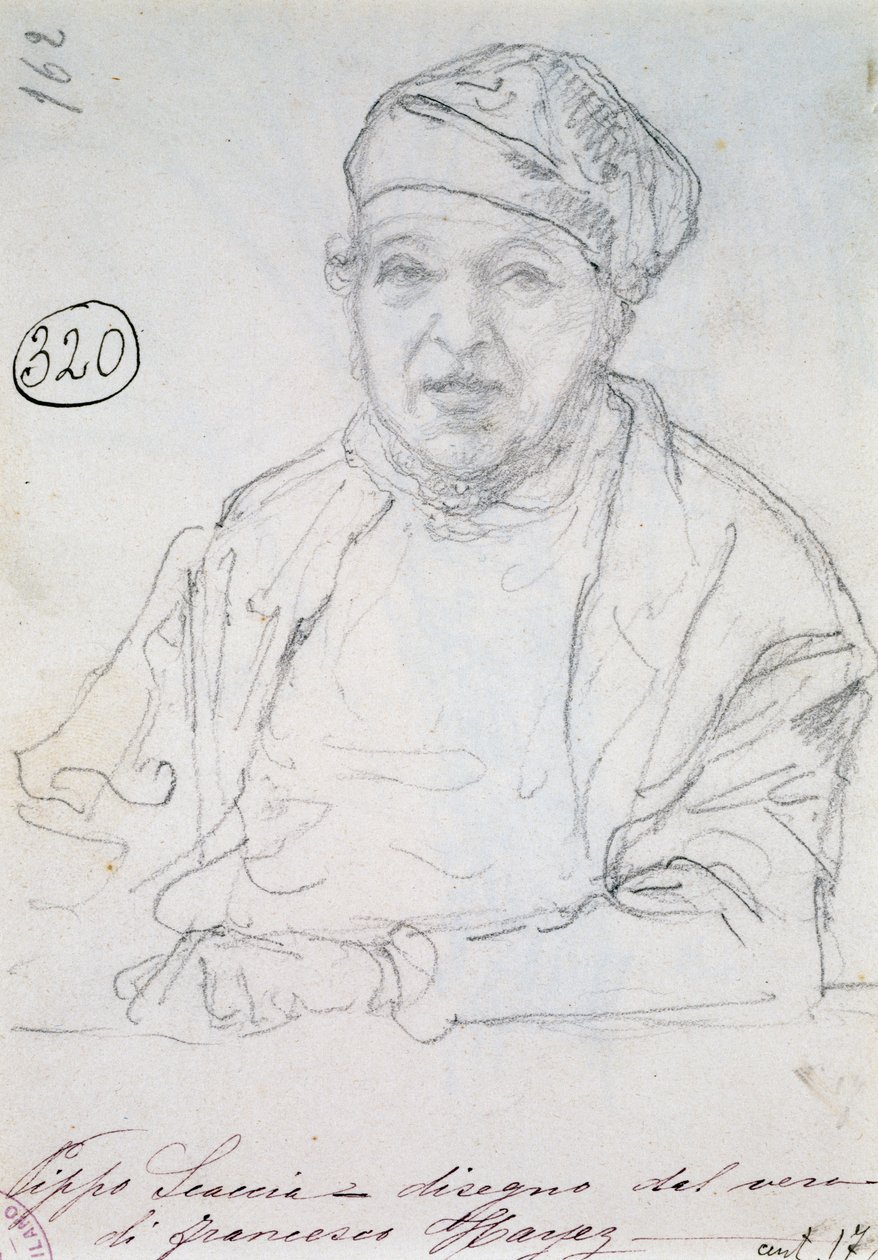 Study for Portrait of his brother in law Pippo Scaccia بواسطة فرانشيسكو هايز