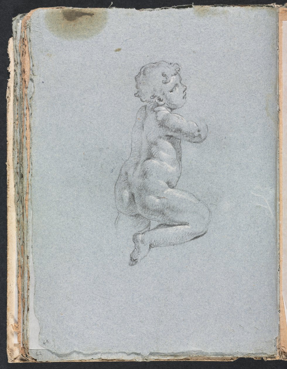 كراسة رسم فيرونا: Putto في الملف الشخصي (صفحة 64) بواسطة فرانشيسكو لورينزي