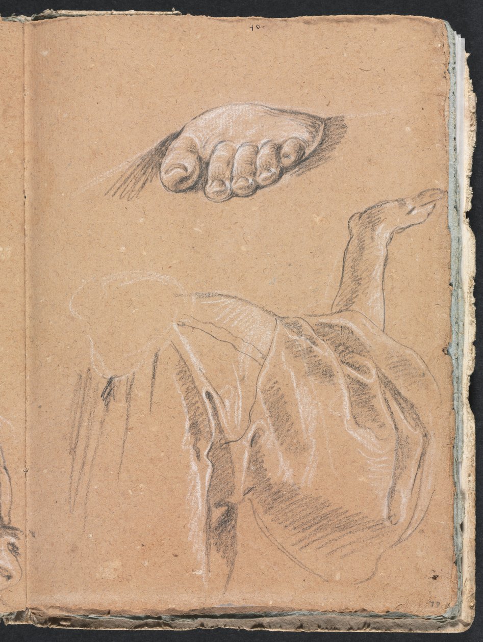 فيرونا كراسة الرسم: دراسة القدم اليسرى ودراسة الأقمشة مع الذراع الأيمن صفحة 79 ، 1760. بواسطة فرانشيسكو لورينزي