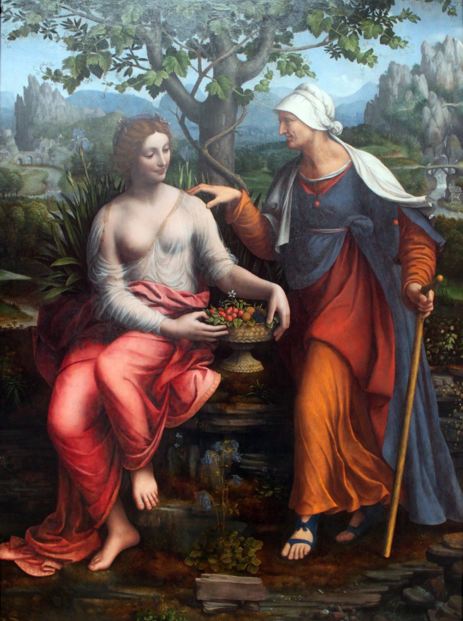 Vertumnus و Pomona بواسطة فرانشيسكو ميلزي