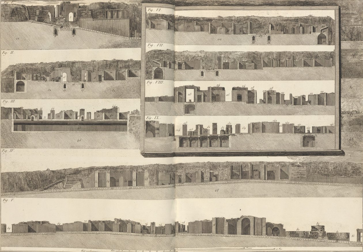 المقاطع العرضية التي توضح الجوانب المختلفة للمباني الموضحة في مخطط بوم ... ، 1804. بواسطة فرانشيسكو بيرانيسي