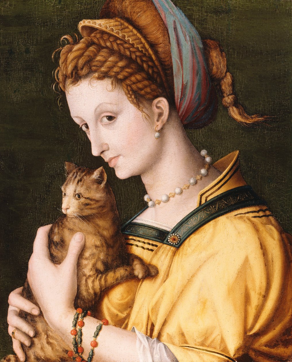 سيدة مع قطة ، c.1525-30 بواسطة فرانشيسكو أوبيرتيني باشيكا