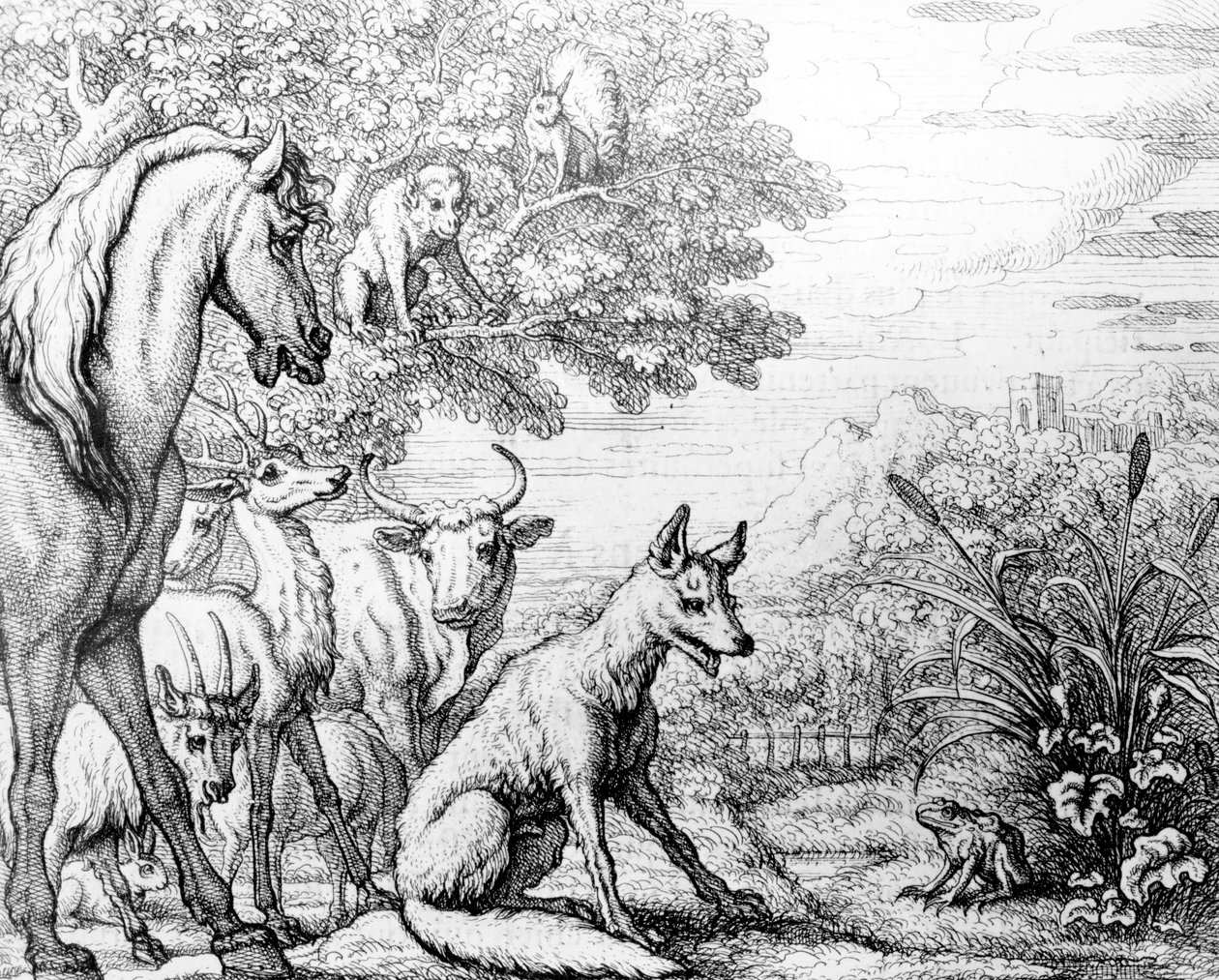 الضفدع الطموح ، توضيح من "أساطير إيسوب" ، 1687 بواسطة فرانسيس بارلو