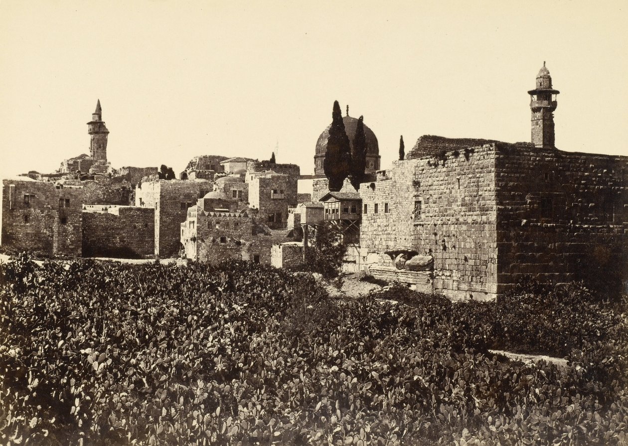 النفايات في القدس بين جبل صهيون والهيكل المقدس بواسطة فرانسيس فريث