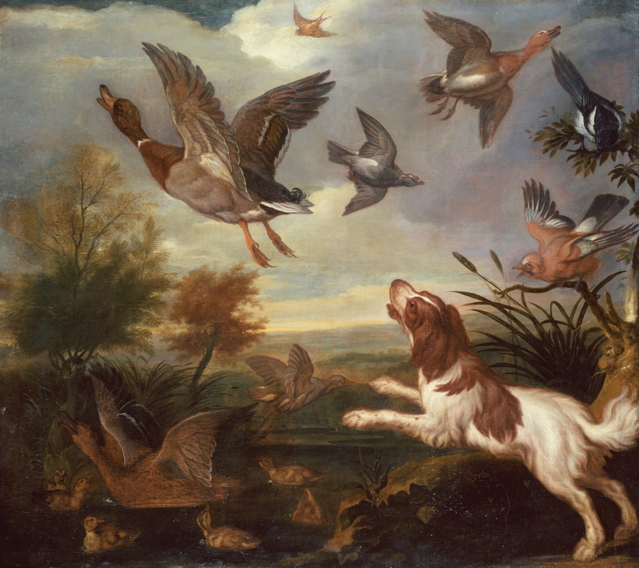 A Spaniel Flushing Mallard (زيت على قماش) بواسطة فرانسيس بارلو
