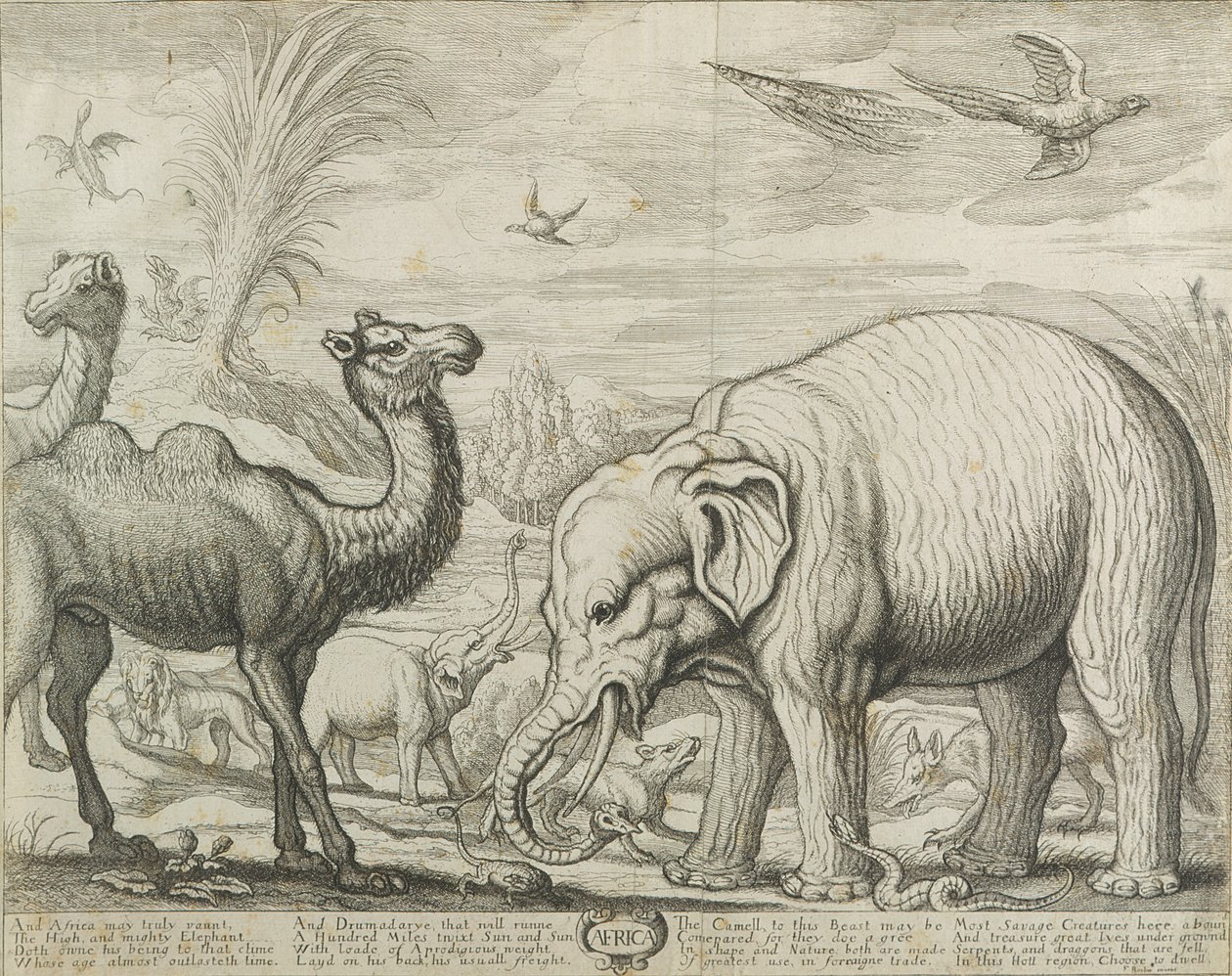 أفريقيا ، 1672 بواسطة فرانسيس بارلو