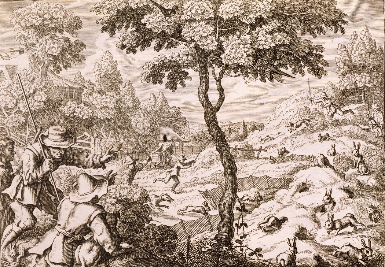 Cony Catching ، محفور بواسطة Wenceslaus Hollar ، 1671 بواسطة فرانسيس بارلو