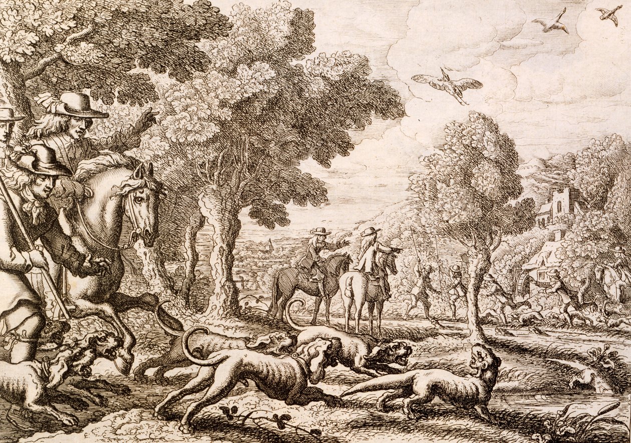 صيد ثعالب الماء بواسطة نهر ، منقوش بواسطة Wenceslaus Hollar ، 1671 بواسطة فرانسيس بارلو
