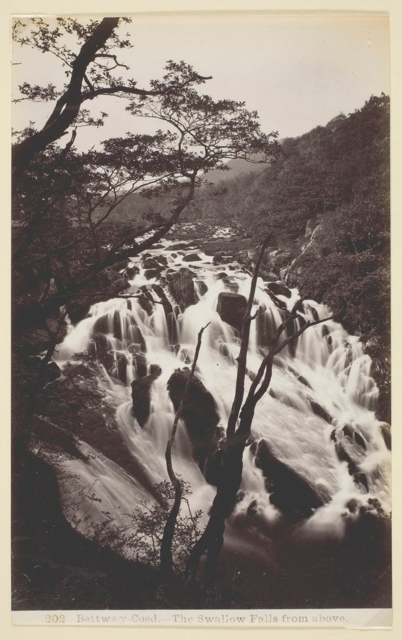 Bettws-y Coed ، The Swallow Falls from Above ، 186094. بواسطة فرانسيس بيدفورد