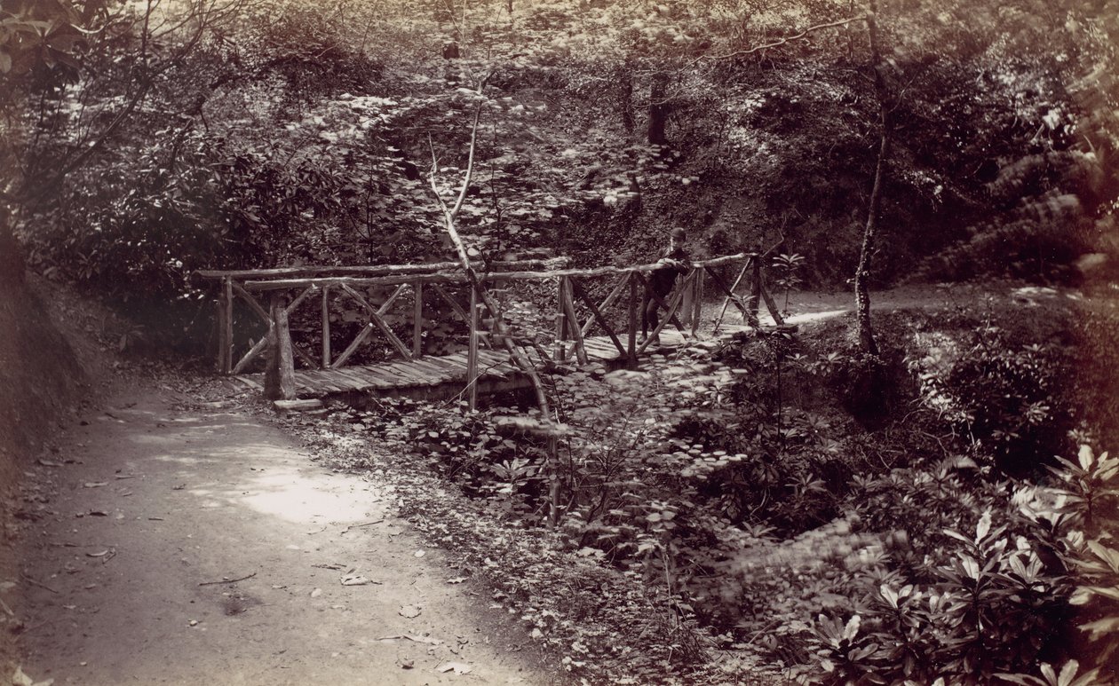 كولوين باي. جسر ريفي في الغابة ، 1870. بواسطة فرانسيس بيدفورد