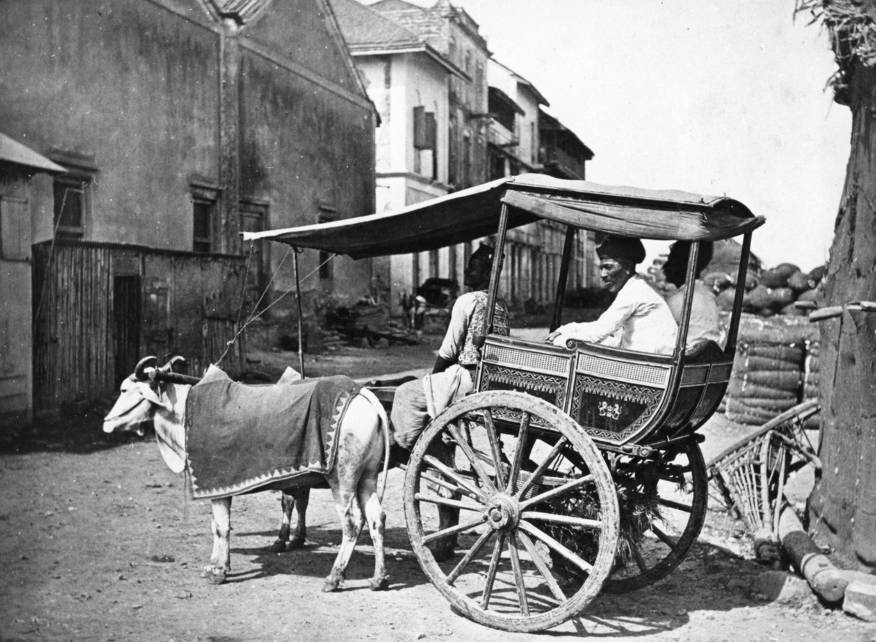 بومباي هاكيري ، c.1875 بواسطة فرانسيس فريث