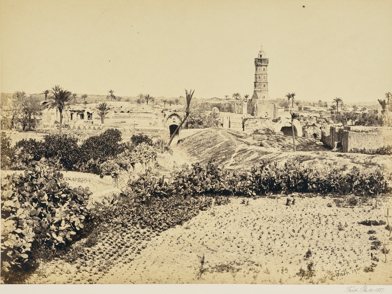  بواسطة فرانسيس فريث