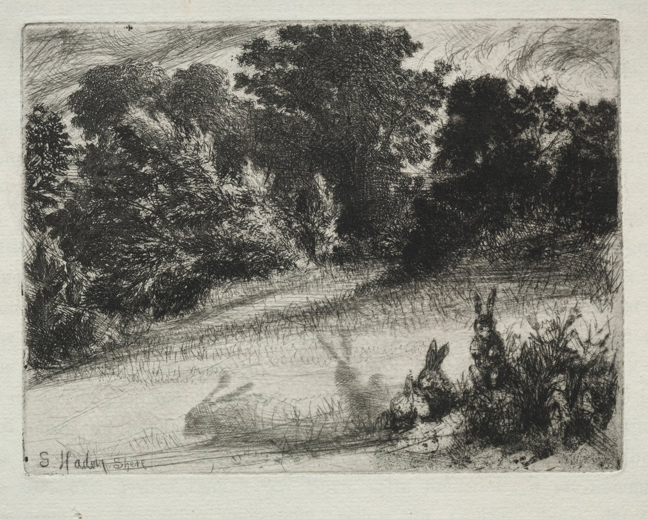 Combe Bottom. بواسطة فرانسيس سيمور هادن