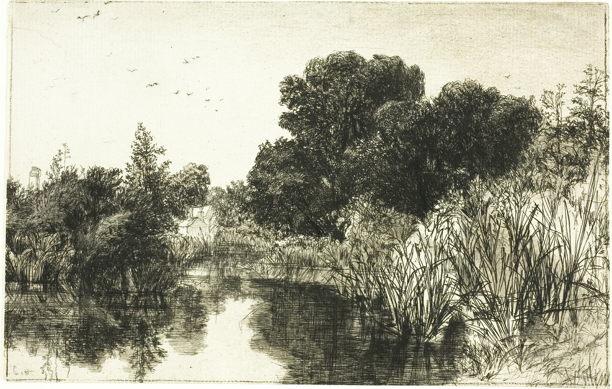 Shere Mill Pond رقم II (صحن كبير) بواسطة فرانسيس سيمور هادن