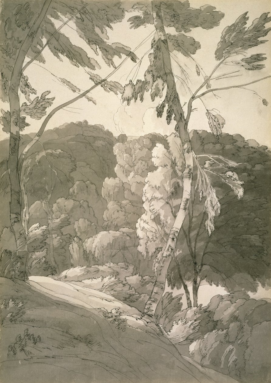 No.1091 منظر طبيعي مشجر (مشهد في Indinowle) 1783 (قلم رصاص ، قلم وحبر مع غسيل على الورق) بواسطة فرانسيس تاون