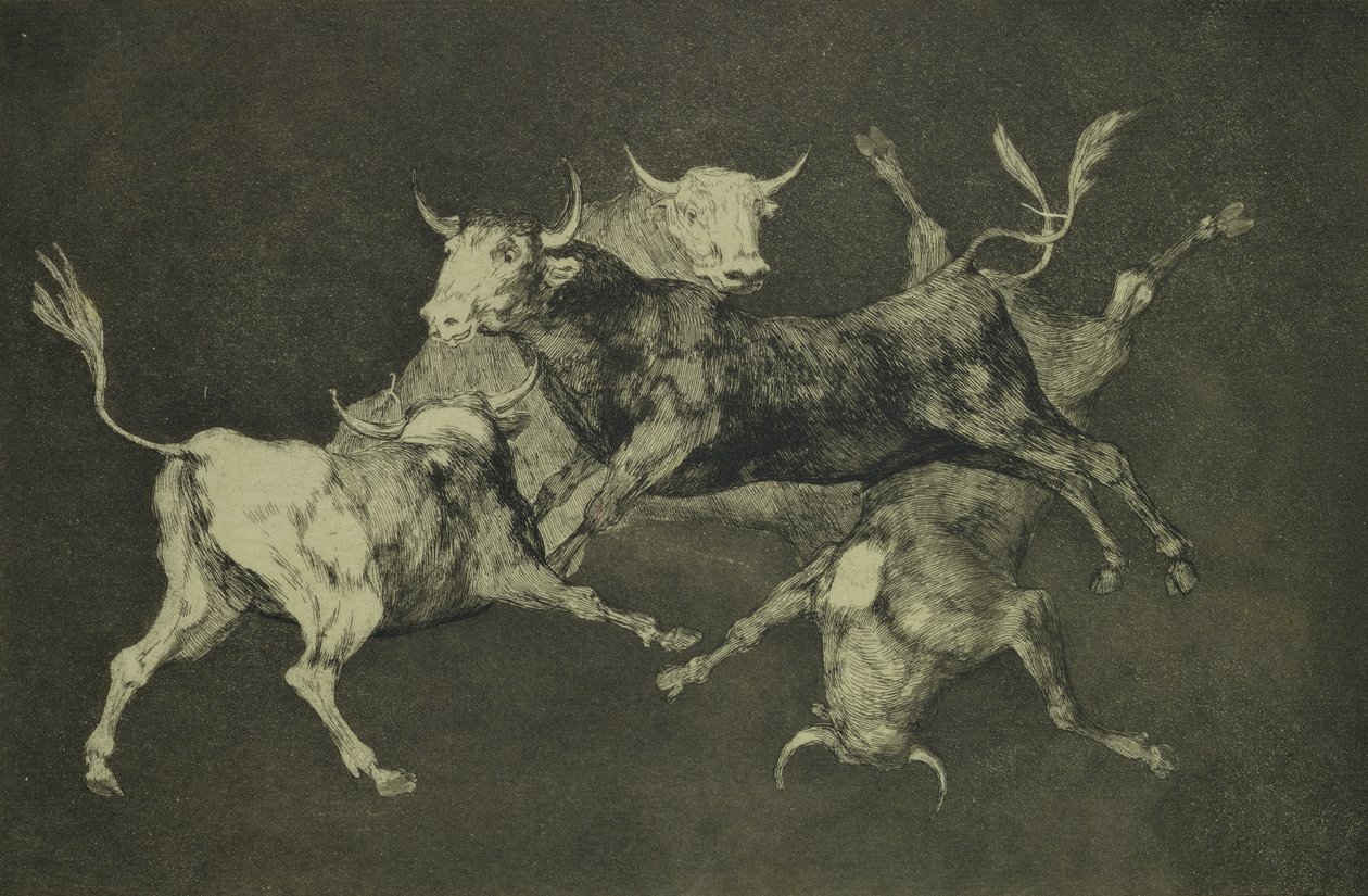 حماقة الثيران ، من سلسلة الحماقات ، c.1815-24 (النقش و aquatint على الورق الياباني) بواسطة فرانسيسكو دي جويا