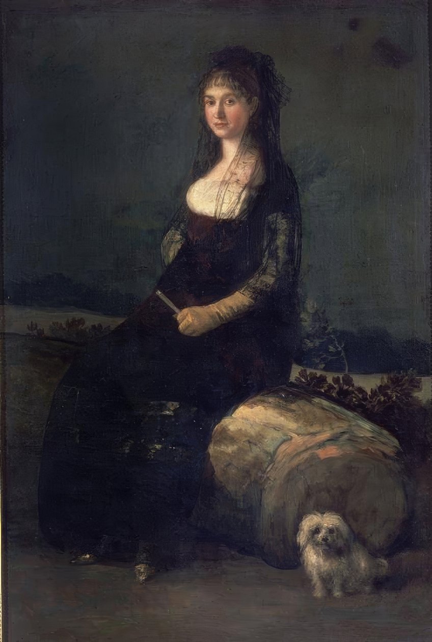 مدرسة اسبانية. جواكينا كانادو. فالنسيا ، متحف الفنون الجميلة - مدرسة Pious V. Künstler: FRANCISCO DE GOYA. Lage: MUSEUM OF FINE ARTS-COLEGIO PIO V ، VALENCIA ، SPANIEN بواسطة فرانسيسكو دي جويا